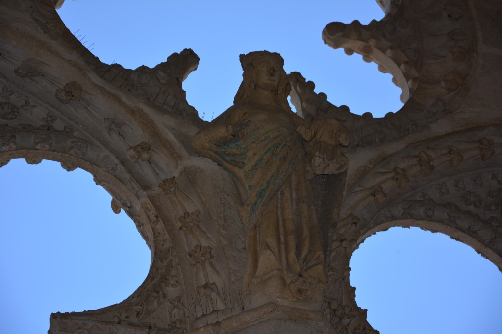 DSC_0732.jpg