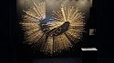 Thumbnail of 2016-04-08 16.24.44.jpg
