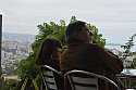 Thumbnail of 2016-04-06 16.42.47.jpg
