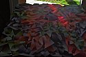Thumbnail of 2016-04-06 22.13.33.jpg