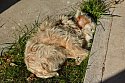 Thumbnail of 2016-04-06 22.15.42.jpg