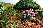 Thumbnail of Musee_impressionismes-05.jpg