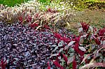Thumbnail of Musee_impressionismes-06.jpg
