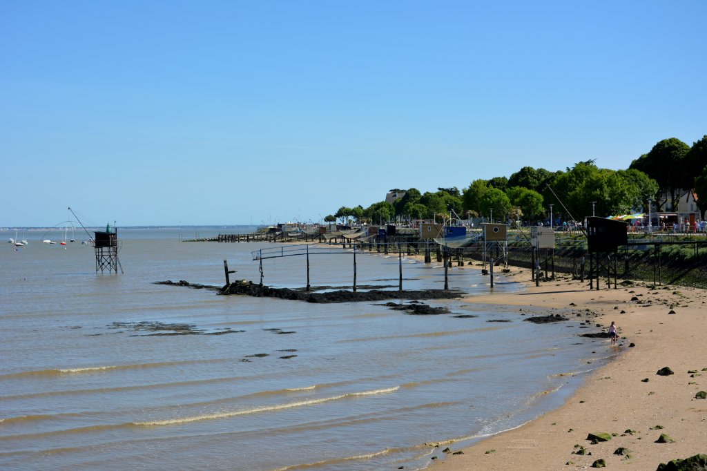 mer07.jpg